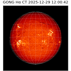 gong - 2025-12-29T12:00:42