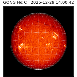 gong - 2025-12-29T14:00:42