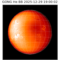 gong - 2025-12-29T19:00:02