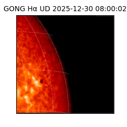 gong - 2025-12-30T08:00:02