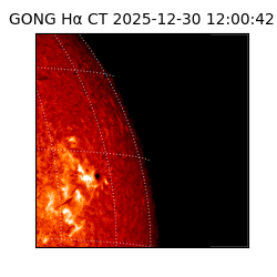 gong - 2025-12-30T12:00:42