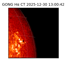 gong - 2025-12-30T13:00:42