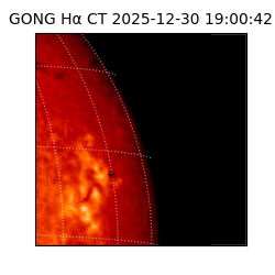gong - 2025-12-30T19:00:42