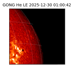 gong - 2025-12-30T01:00:42