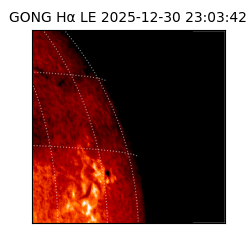 gong - 2025-12-30T23:03:42