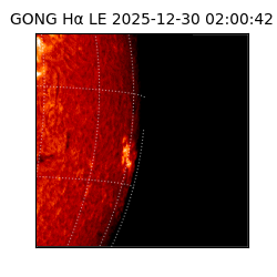 gong - 2025-12-30T02:00:42