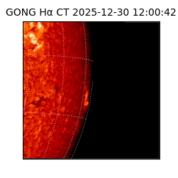 gong - 2025-12-30T12:00:42