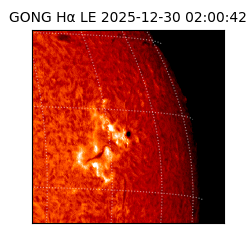 gong - 2025-12-30T02:00:42