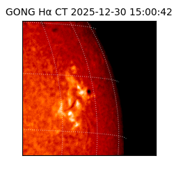 gong - 2025-12-30T15:00:42
