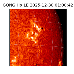 gong - 2025-12-30T01:00:42