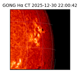gong - 2025-12-30T22:00:42