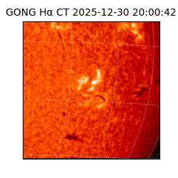 gong - 2025-12-30T20:00:42