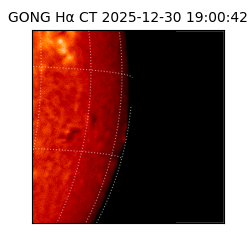 gong - 2025-12-30T19:00:42