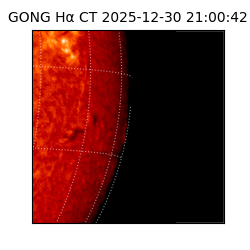 gong - 2025-12-30T21:00:42