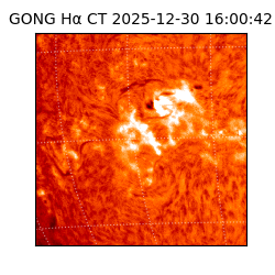 gong - 2025-12-30T16:00:42