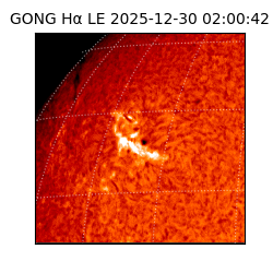 gong - 2025-12-30T02:00:42
