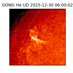 gong - 2025-12-30T06:00:02