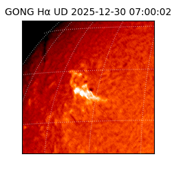 gong - 2025-12-30T07:00:02