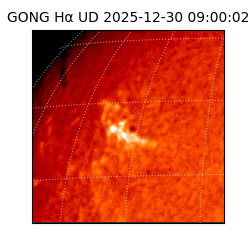 gong - 2025-12-30T09:00:02