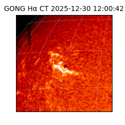 gong - 2025-12-30T12:00:42