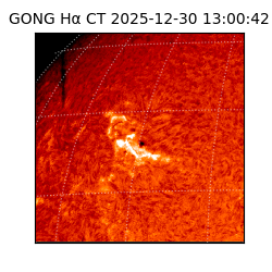 gong - 2025-12-30T13:00:42