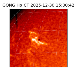 gong - 2025-12-30T15:00:42