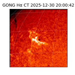 gong - 2025-12-30T20:00:42