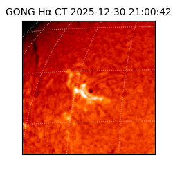 gong - 2025-12-30T21:00:42