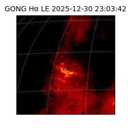 gong - 2025-12-30T23:03:42