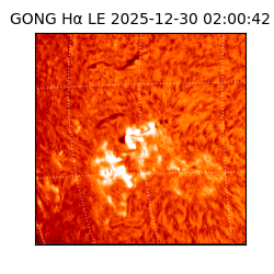 gong - 2025-12-30T02:00:42