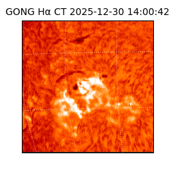 gong - 2025-12-30T14:00:42