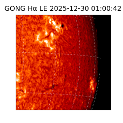 gong - 2025-12-30T01:00:42
