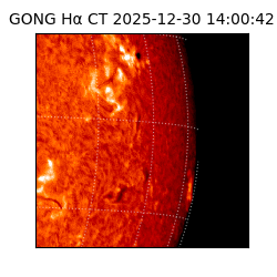 gong - 2025-12-30T14:00:42