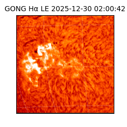 gong - 2025-12-30T02:00:42