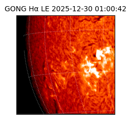 gong - 2025-12-30T01:00:42