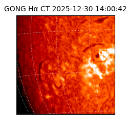 gong - 2025-12-30T14:00:42