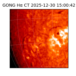 gong - 2025-12-30T15:00:42