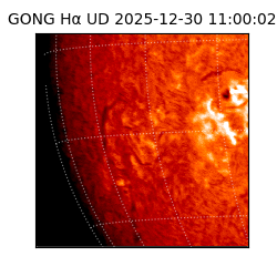 gong - 2025-12-30T11:00:02