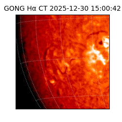 gong - 2025-12-30T15:00:42