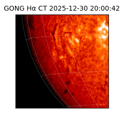 gong - 2025-12-30T20:00:42
