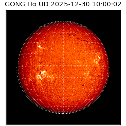 gong - 2025-12-30T10:00:02