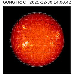 gong - 2025-12-30T14:00:42