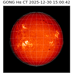 gong - 2025-12-30T15:00:42