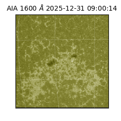saia - 2025-12-31T09:00:14.126000