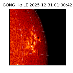 gong - 2025-12-31T01:00:42