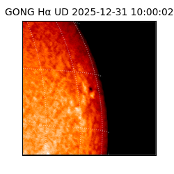 gong - 2025-12-31T10:00:02