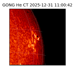 gong - 2025-12-31T11:00:42