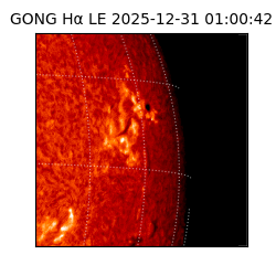 gong - 2025-12-31T01:00:42