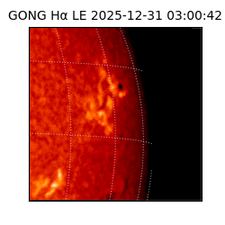 gong - 2025-12-31T03:00:42