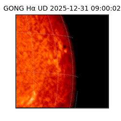 gong - 2025-12-31T09:00:02